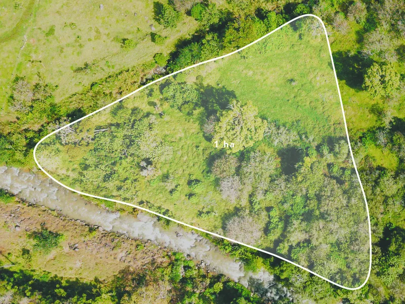 Land For Sale in Dota