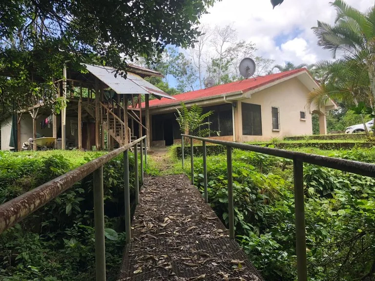 Hot Spring Farm in Aguas Claras, photo 12