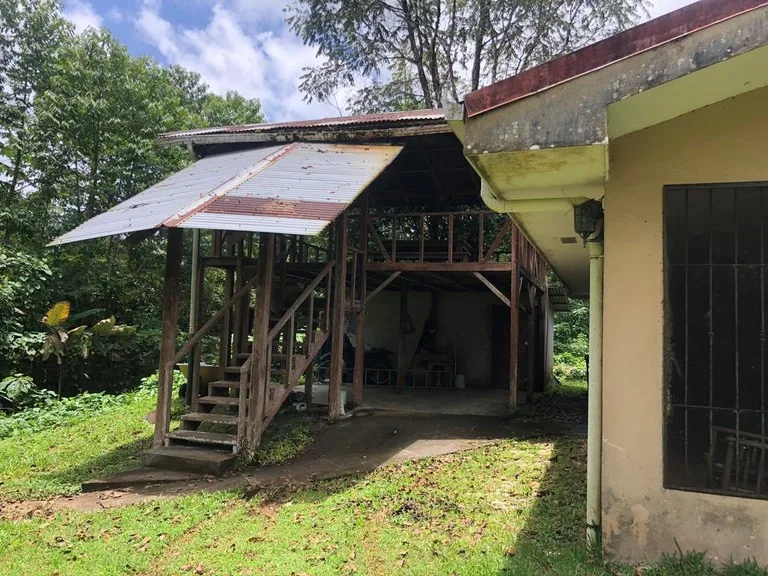 Hot Spring Farm in Aguas Claras, photo 13