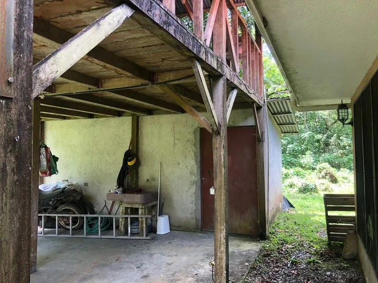 Hot Spring Farm in Aguas Claras, photo 15