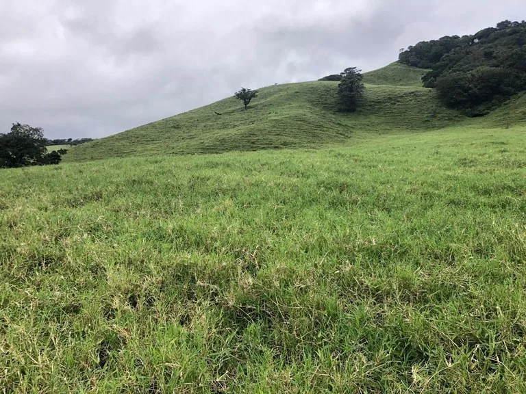 Agricultural Land in Tronadora, photo 2