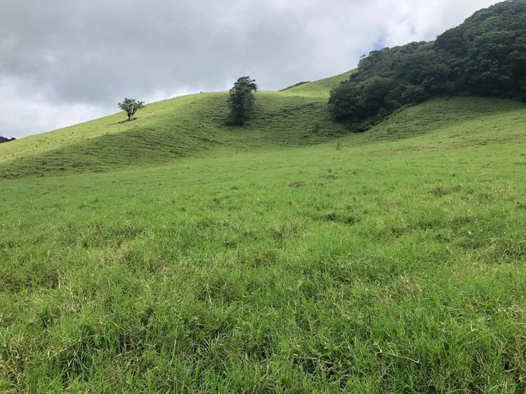 Agricultural Land in Tronadora, photo 11