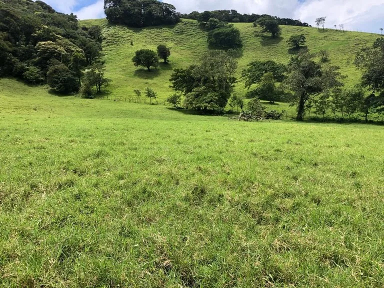 Agricultural Land in Tronadora, photo 13