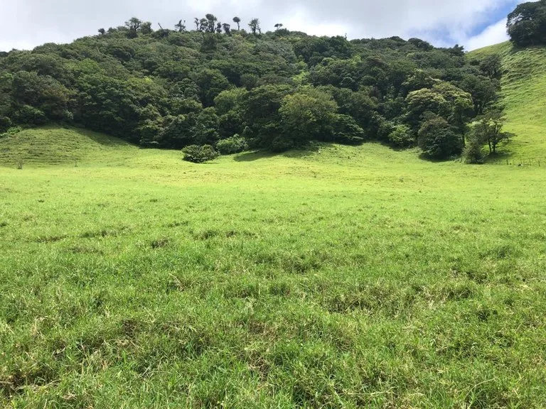 Agricultural Land in Tronadora, photo 14