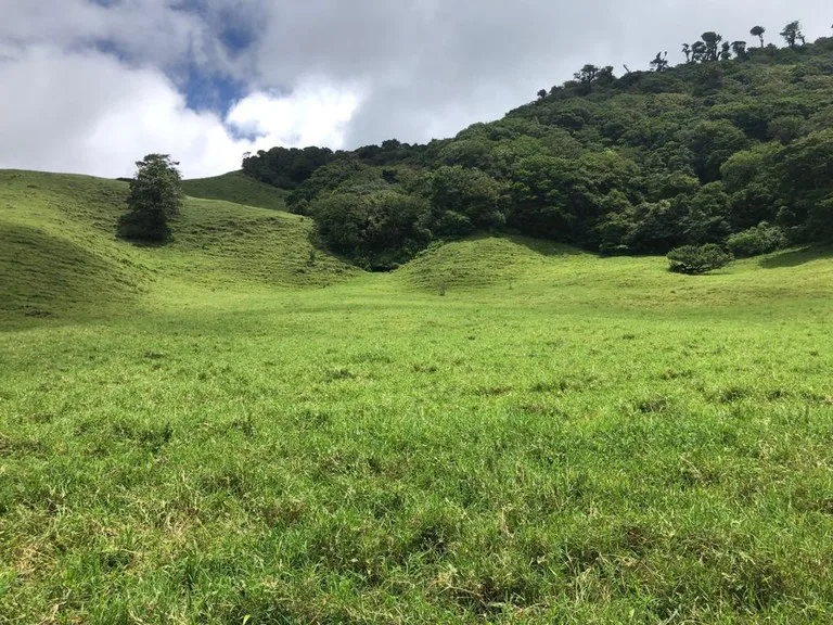 Agricultural Land in Tronadora, photo 15