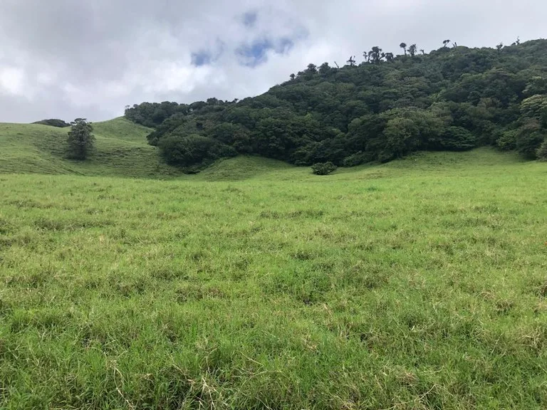Agricultural Land in Tronadora, photo 4