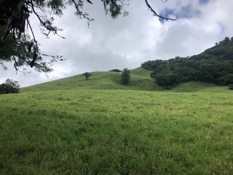 Agricultural Land in Tronadora, photo 6
