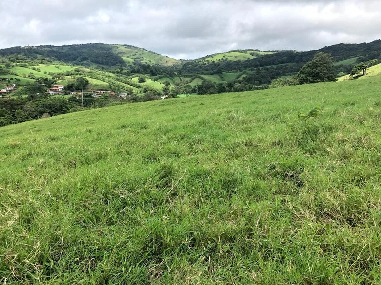 Agricultural Land in Tronadora, photo 10