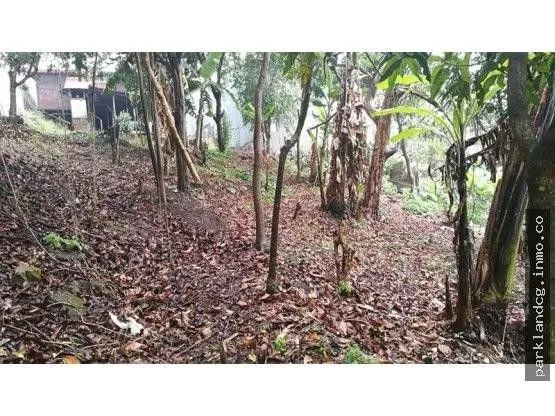 Land for Sale in Montes De Oca, San Jose for $254,000, photo 7