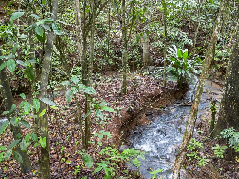 Land For Sale in Perez Zeledon, photo 11