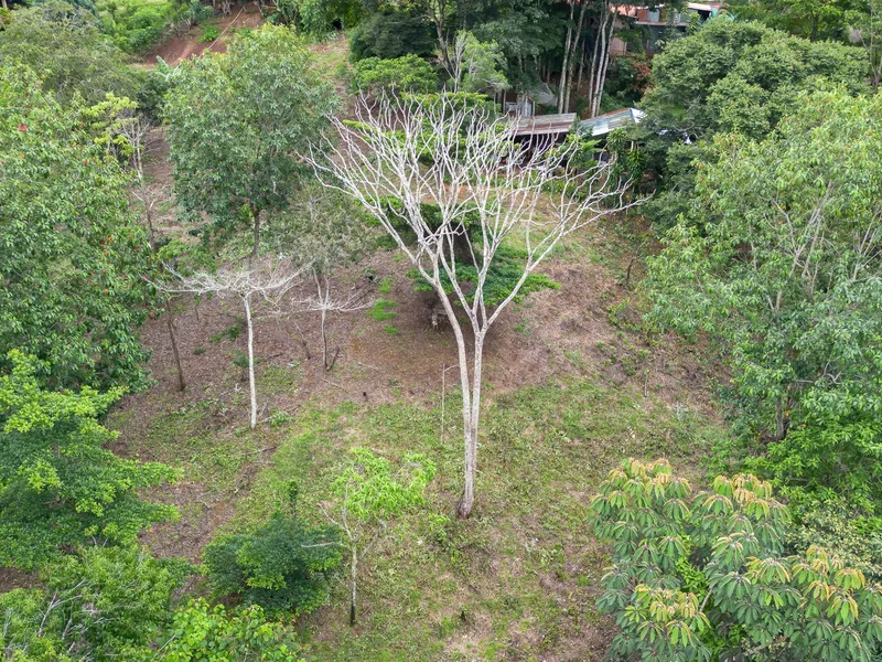 Land For Sale in Perez Zeledon, photo 12