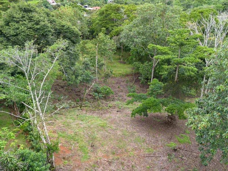 Land For Sale in Perez Zeledon, photo 13