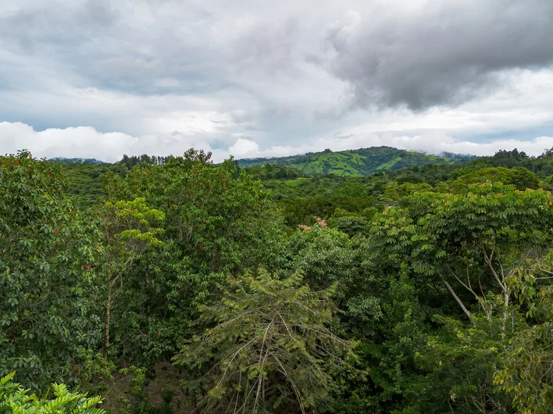 Land For Sale in Perez Zeledon, photo 15
