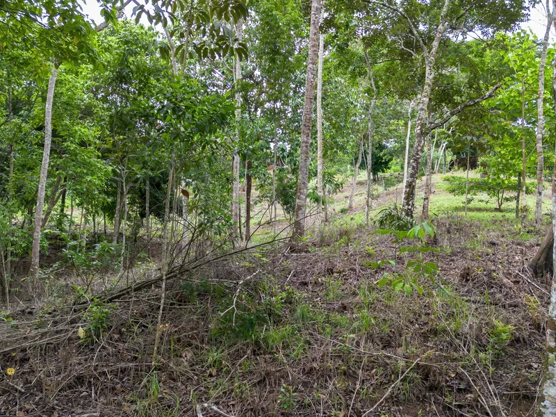 Land For Sale in Perez Zeledon, photo 8