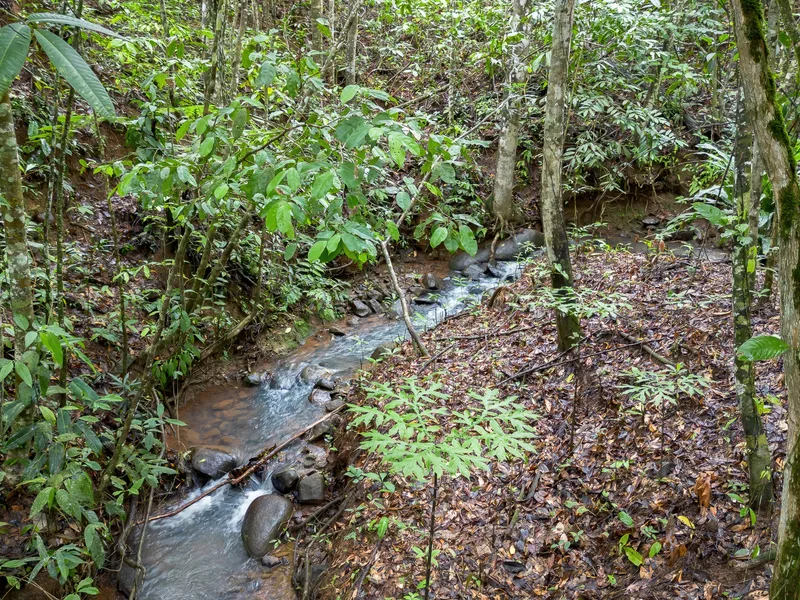 Land For Sale in Perez Zeledon, photo 9