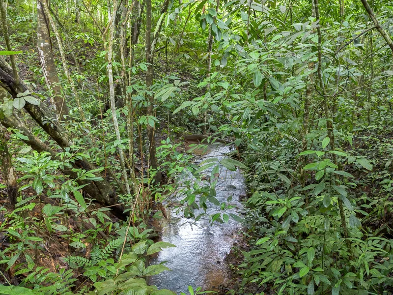 Land For Sale in Perez Zeledon, photo 10