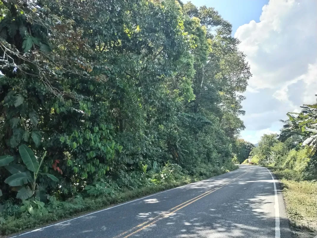 Beautiful property in the tropical rainforest. Conveniently located near the most important destinations in Costa Rica’s Southern Zone, this property is situated at Kilometer 30, just ...
