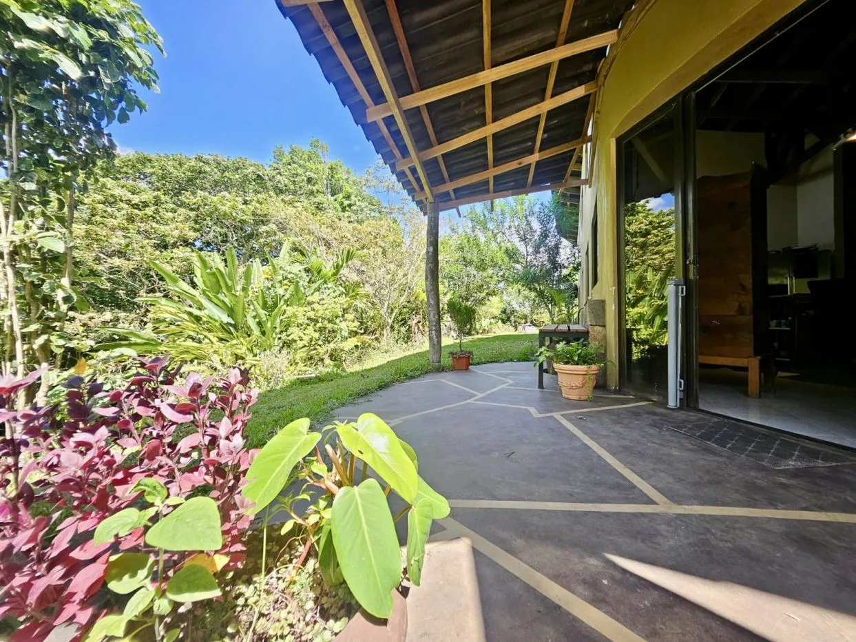 House in Barrio El Roble, photo 22