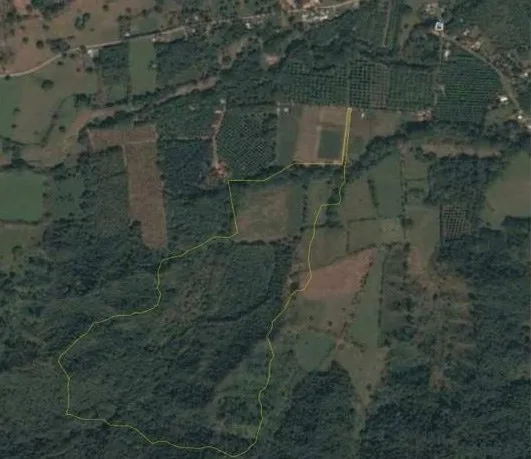 Agricultural Land in Paquera
