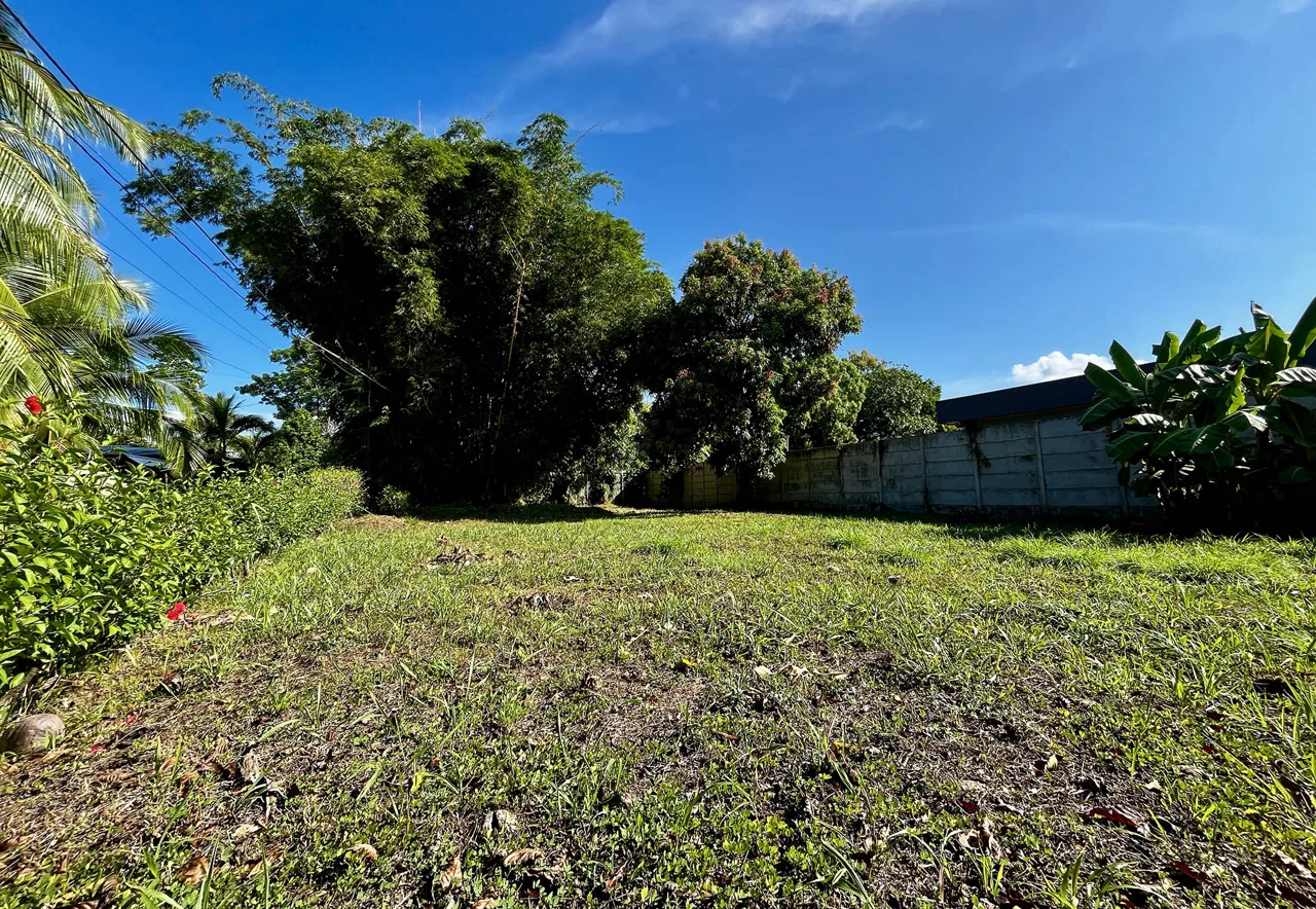 MAGICAL CORNER LOT IN UVITA w/ 8-MINUTE WALK TO NATIONAL PARK BEACH, photo 11