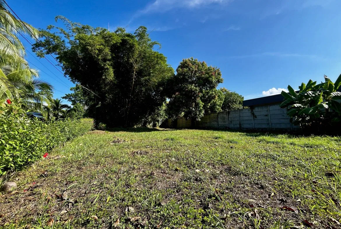 MAGICAL CORNER LOT IN UVITA w/ 8-MINUTE WALK TO NATIONAL PARK BEACH, photo 12