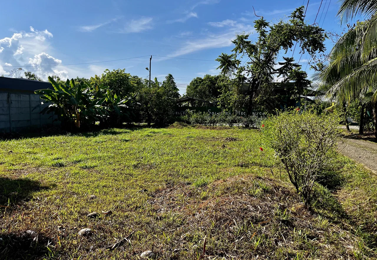 MAGICAL CORNER LOT IN UVITA w/ 8-MINUTE WALK TO NATIONAL PARK BEACH, photo 13