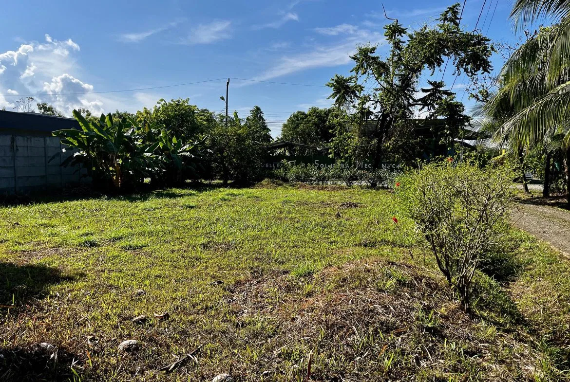 MAGICAL CORNER LOT IN UVITA w/ 8-MINUTE WALK TO NATIONAL PARK BEACH, photo 14