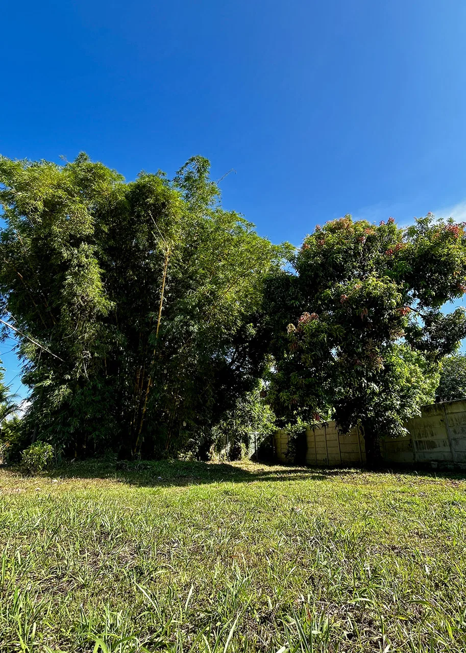 MAGICAL CORNER LOT IN UVITA w/ 8-MINUTE WALK TO NATIONAL PARK BEACH, photo 17