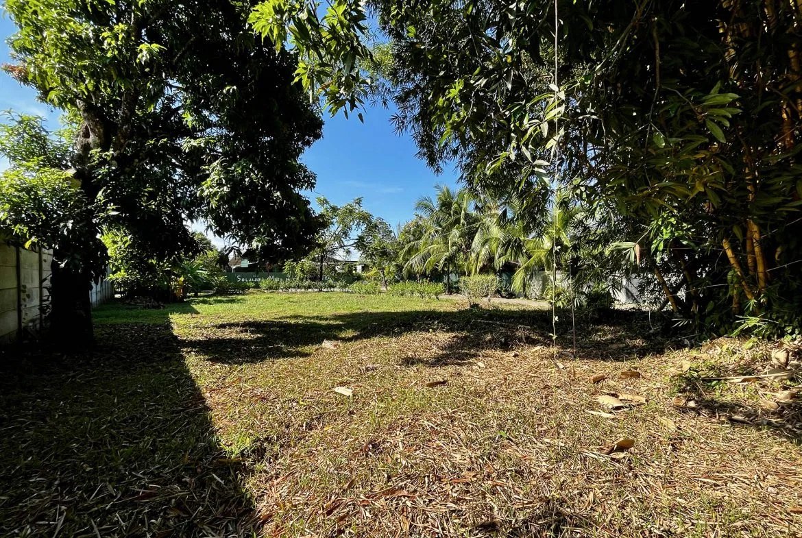 MAGICAL CORNER LOT IN UVITA w/ 8-MINUTE WALK TO NATIONAL PARK BEACH, photo 20