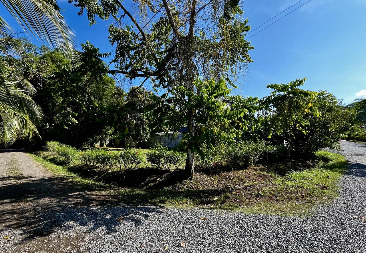 MAGICAL CORNER LOT IN UVITA w/ 8-MINUTE WALK TO NATIONAL PARK BEACH, photo 21