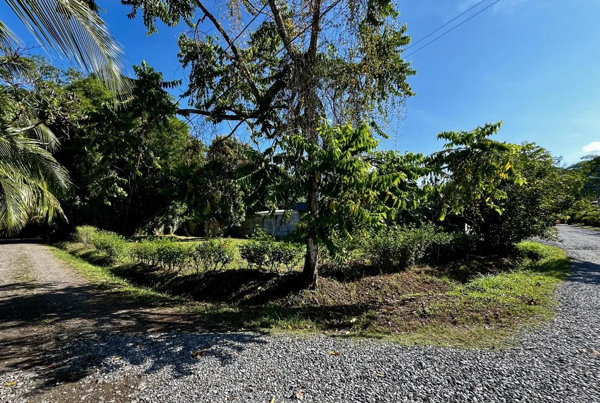 MAGICAL CORNER LOT IN UVITA w/ 8-MINUTE WALK TO NATIONAL PARK BEACH, photo 22