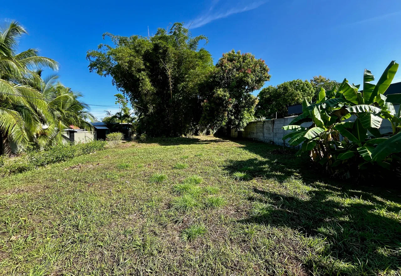 MAGICAL CORNER LOT IN UVITA w/ 8-MINUTE WALK TO NATIONAL PARK BEACH, photo 7
