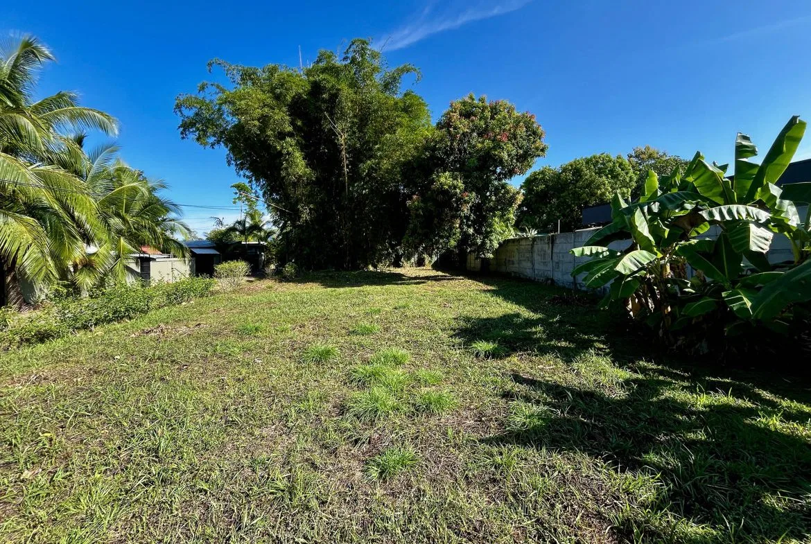 MAGICAL CORNER LOT IN UVITA w/ 8-MINUTE WALK TO NATIONAL PARK BEACH, photo 8