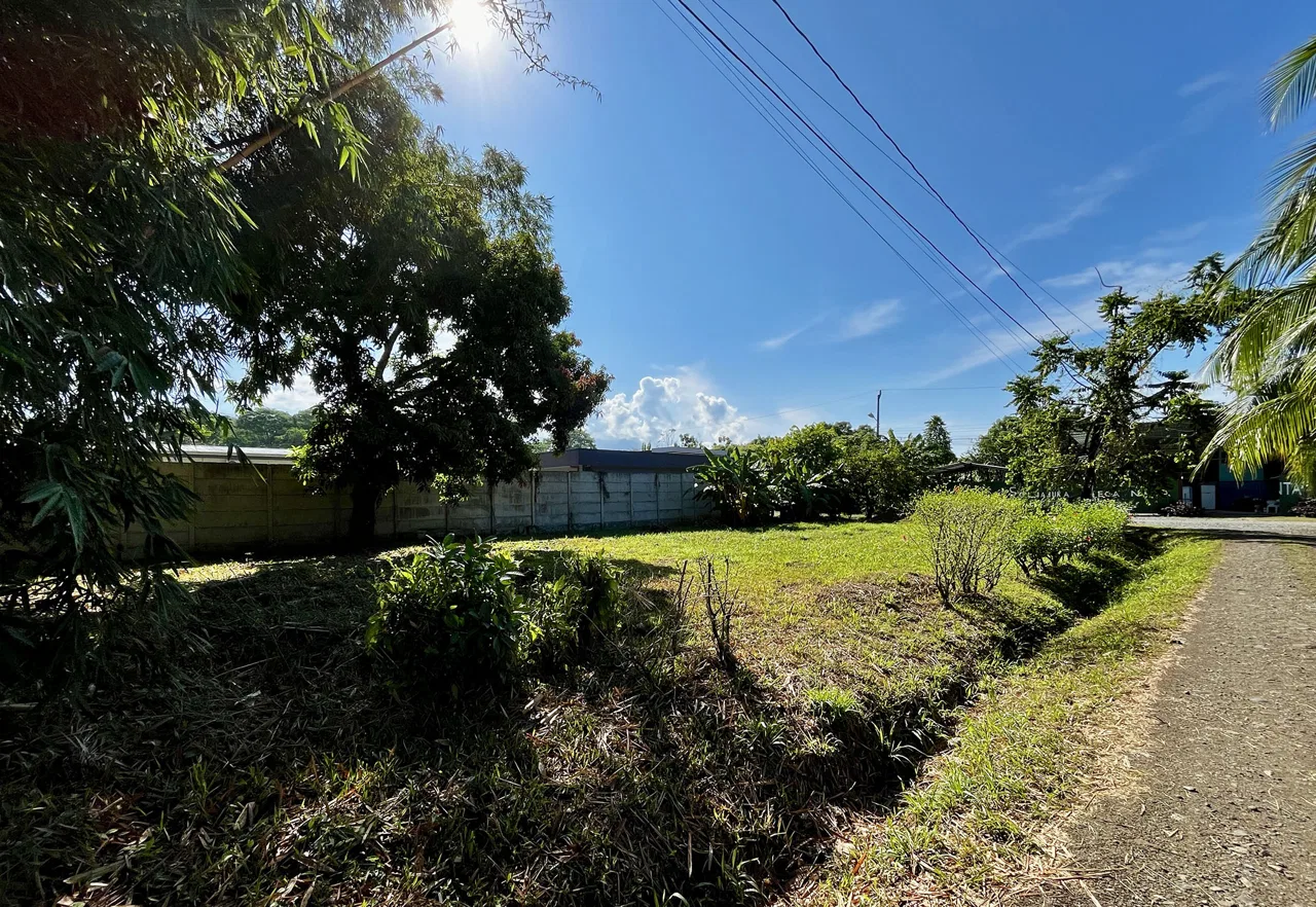 MAGICAL CORNER LOT IN UVITA w/ 8-MINUTE WALK TO NATIONAL PARK BEACH, photo 9