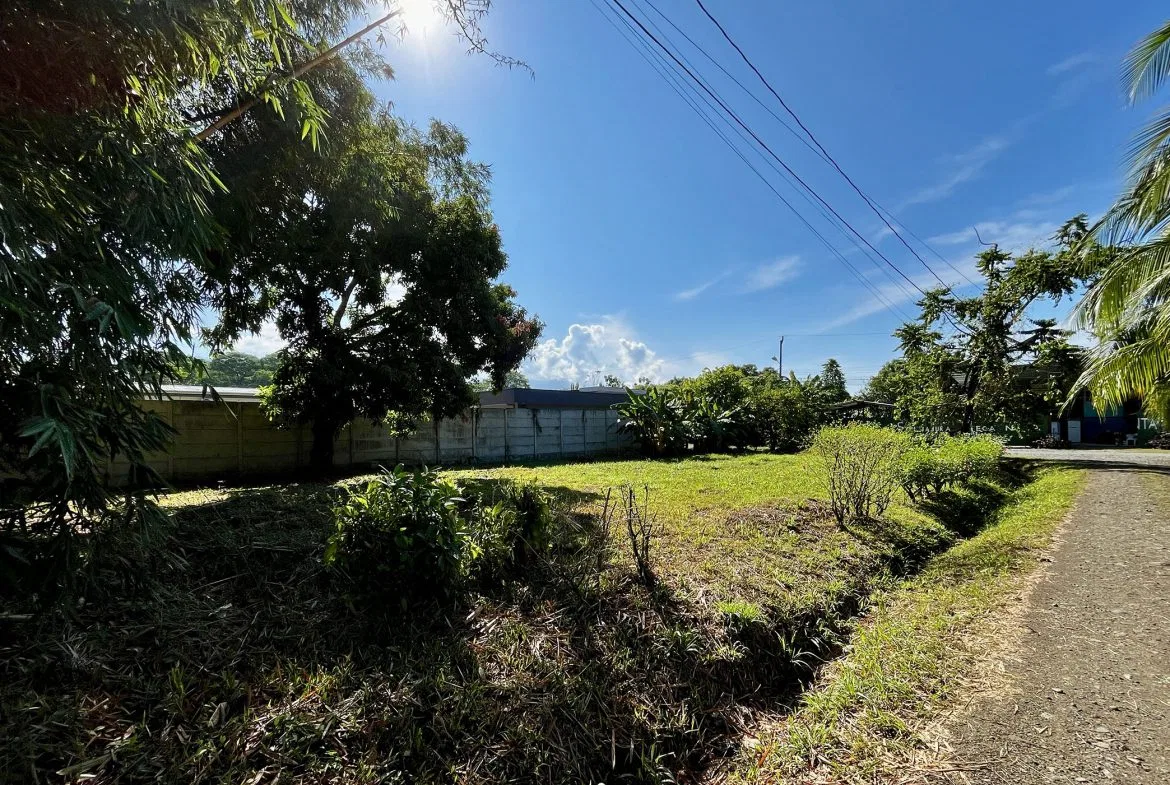 MAGICAL CORNER LOT IN UVITA w/ 8-MINUTE WALK TO NATIONAL PARK BEACH, photo 10