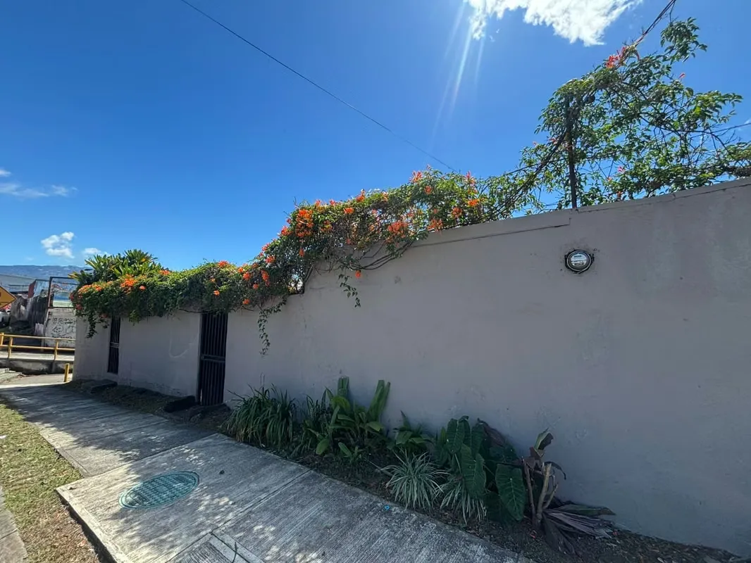 Apartments for rent in Granadilla de Curridabat, José María Zeledón neighborhood., photo 7