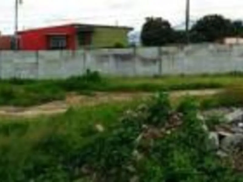 Land For Sale in Tibas, photo 6