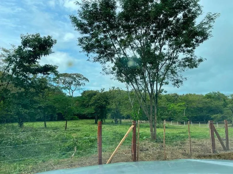 Land For Sale in Tamarindo, photo 2