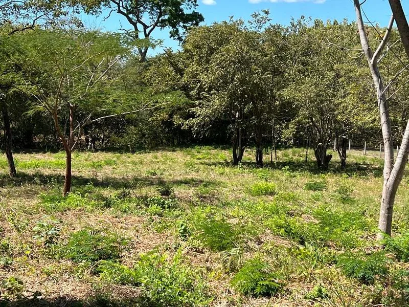 Land For Sale in Tamarindo, photo 5