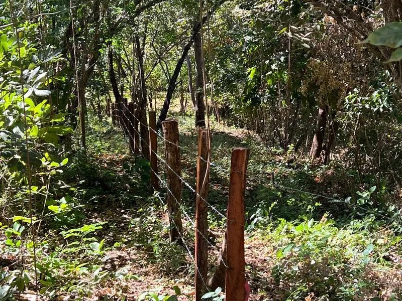 Land For Sale in Tamarindo, photo 7