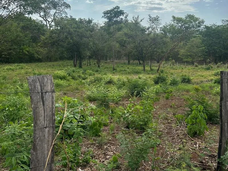 Land For Sale in Tamarindo, photo 10
