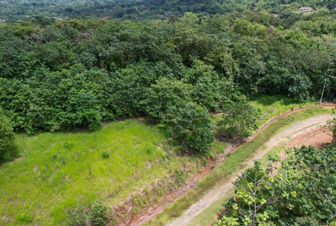 BUILDING PROPERTY WITH PUBLIC ROAD IN FRONT, IN OJOCHAL – 1.85 ACRES, photo 12