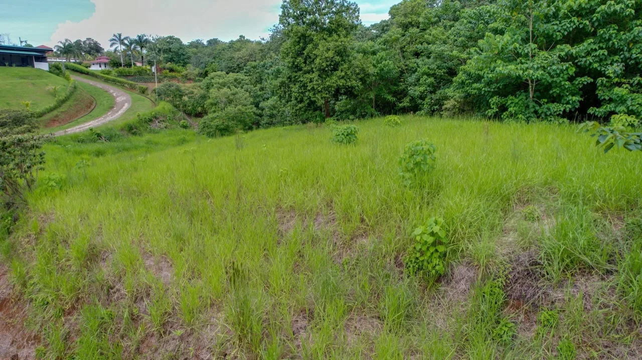 BUILDING PROPERTY WITH PUBLIC ROAD IN FRONT, IN OJOCHAL – 1.85 ACRES, photo 13