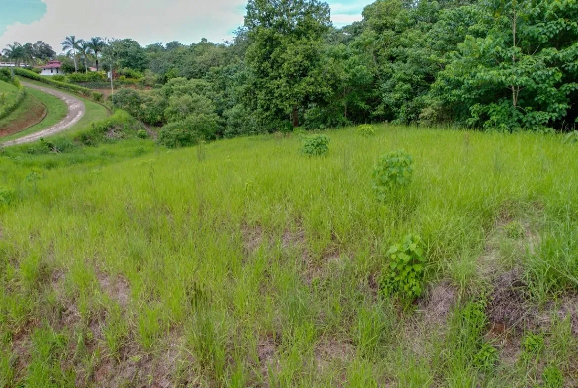 BUILDING PROPERTY WITH PUBLIC ROAD IN FRONT, IN OJOCHAL – 1.85 ACRES, photo 14