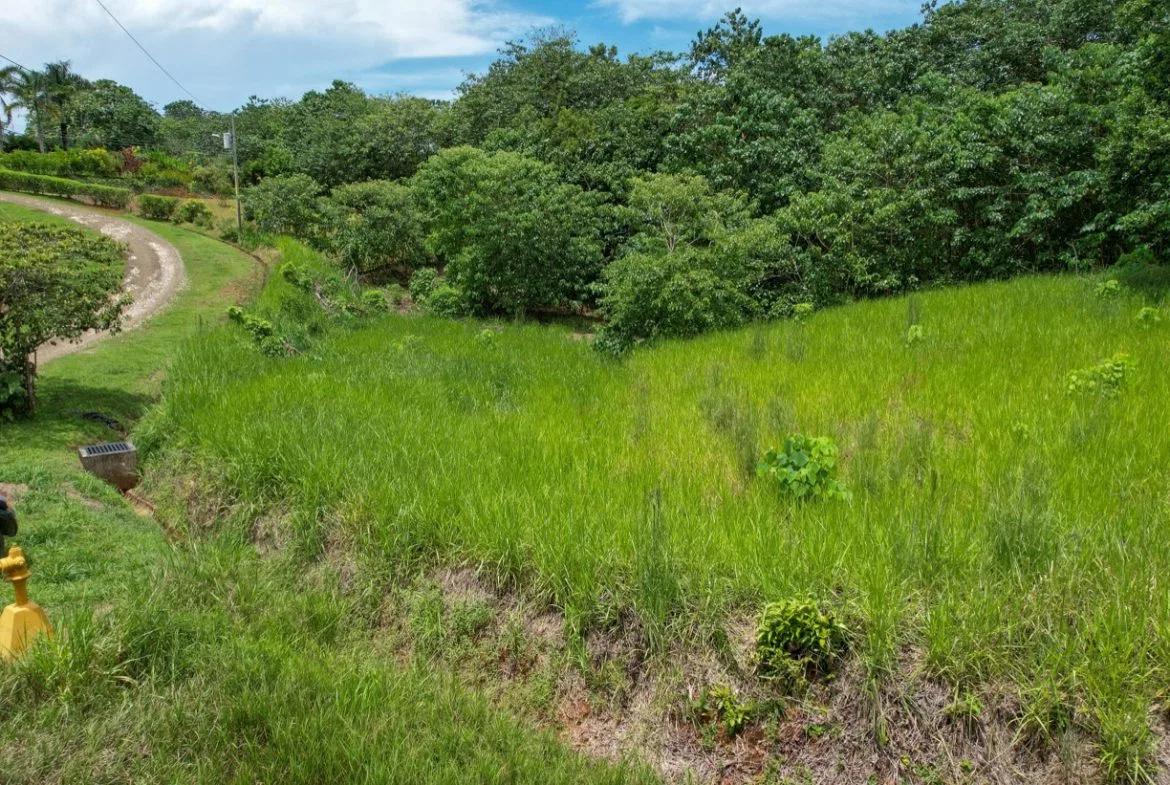 BUILDING PROPERTY WITH PUBLIC ROAD IN FRONT, IN OJOCHAL – 1.85 ACRES, photo 16