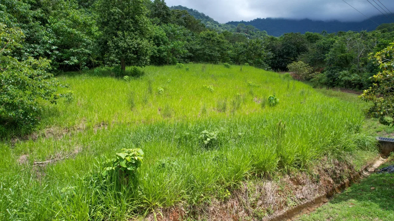 BUILDING PROPERTY WITH PUBLIC ROAD IN FRONT, IN OJOCHAL – 1.85 ACRES, photo 17