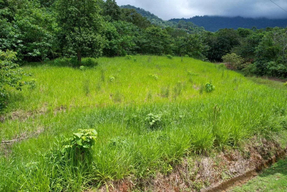 BUILDING PROPERTY WITH PUBLIC ROAD IN FRONT, IN OJOCHAL – 1.85 ACRES, photo 18