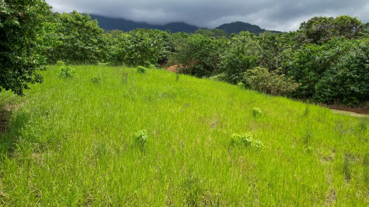 BUILDING PROPERTY WITH PUBLIC ROAD IN FRONT, IN OJOCHAL – 1.85 ACRES, photo 19