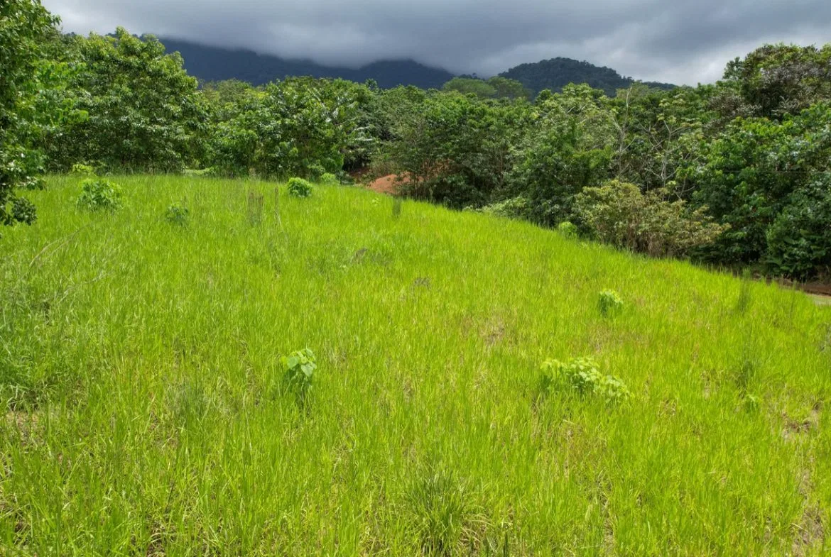 BUILDING PROPERTY WITH PUBLIC ROAD IN FRONT, IN OJOCHAL – 1.85 ACRES, photo 20