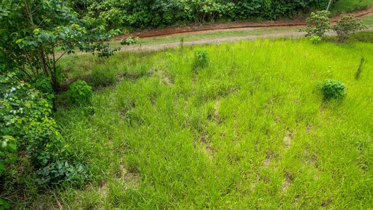 BUILDING PROPERTY WITH PUBLIC ROAD IN FRONT, IN OJOCHAL – 1.85 ACRES, photo 21